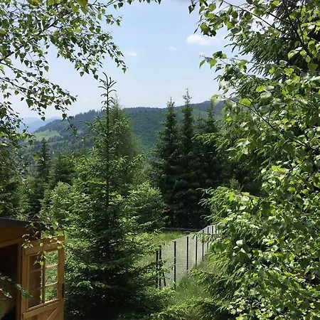 Holiday home Mountain - La Muntele Baisorii Muntele Cacovei (Transylvania)