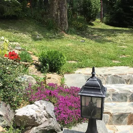 Mountain - La Muntele Baisorii * Muntele Cacovei (Transylvania)