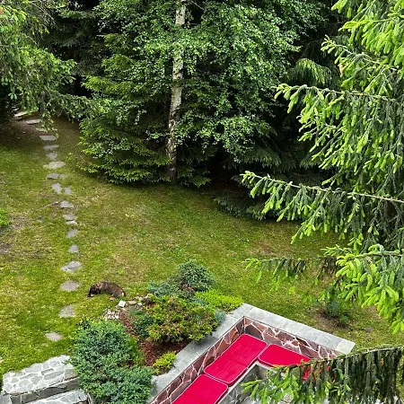 Mountain - La Muntele Baisorii Holiday home Muntele Cacovei (Transylvania)