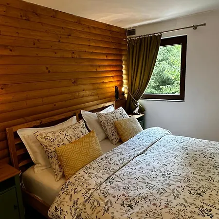 Mountain - La Muntele Baisorii Holiday home Muntele Cacovei (Transylvania)