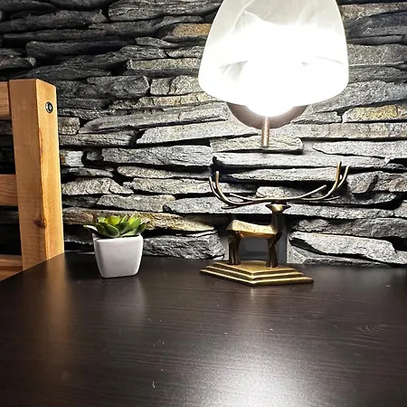 Mountain - La Muntele Baisorii Holiday home *