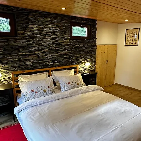 Mountain - La Muntele Baisorii Holiday home