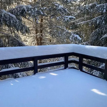 Mountain - La Muntele Baisorii Holiday home