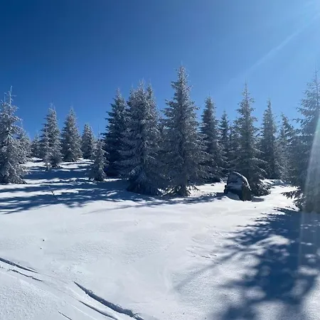 Holiday home Mountain - La Muntele Baisorii *