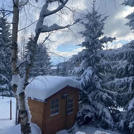 Mountain - La Muntele Baisorii Holiday home Muntele Cacovei (Transylvania)