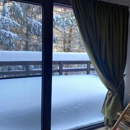Holiday home Mountain - La Muntele Baisorii