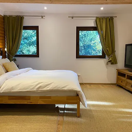 Mountain - La Muntele Baisorii Holiday home *